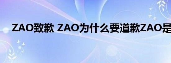 ZAO致歉 ZAO为什么要道歉ZAO是什么