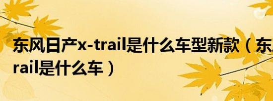 东风日产x-trail是什么车型新款（东风日产xtrail是什么车）