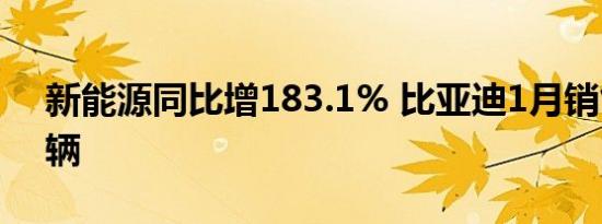 新能源同比增183.1% 比亚迪1月销售4.2万辆