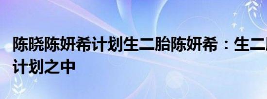 陈晓陈妍希计划生二胎陈妍希：生二胎一直在计划之中