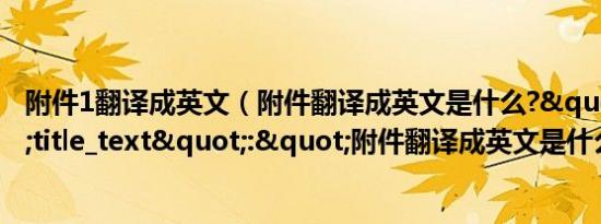 附件1翻译成英文（附件翻译成英文是什么?","title_text":"附件翻译成英文是什么?）