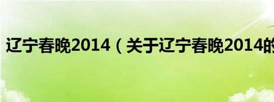 辽宁春晚2014（关于辽宁春晚2014的介绍）