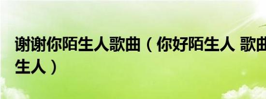 谢谢你陌生人歌曲（你好陌生人 歌曲-你好陌生人）