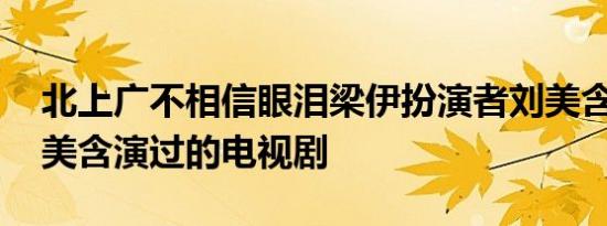 北上广不相信眼泪梁伊扮演者刘美含资料 刘美含演过的电视剧