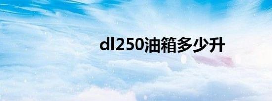 dl250油箱多少升