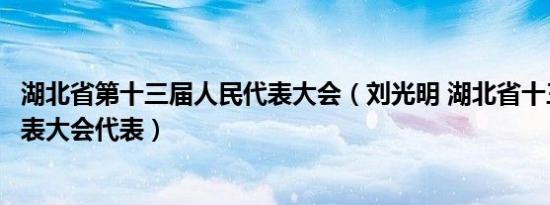 湖北省第十三届人民代表大会（刘光明 湖北省十三届人民代表大会代表）