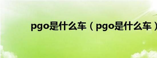 pgo是什么车（pgo是什么车）