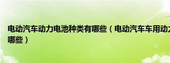 电动汽车动力电池种类有哪些（电动汽车车用动力电池包括哪些）