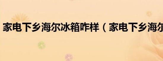 家电下乡海尔冰箱咋样（家电下乡海尔冰箱）