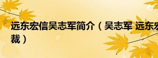 远东宏信吴志军简介（吴志军 远东宏信副总裁）