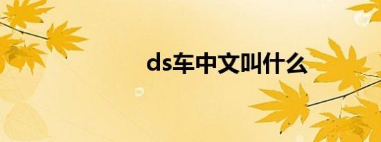 ds车中文叫什么