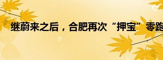 继蔚来之后，合肥再次“押宝”零跑汽车