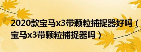 2020款宝马x3带颗粒捕捉器好吗（2020款宝马x3带颗粒捕捉器吗）