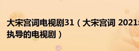 大宋宫词电视剧31（大宋宫词 2021年李少红执导的电视剧）