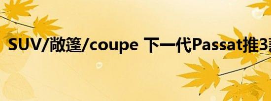 SUV/敞篷/coupe 下一代Passat推3款新车