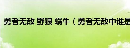 勇者无敌 野狼 蜗牛（勇者无敌中谁是野狼）