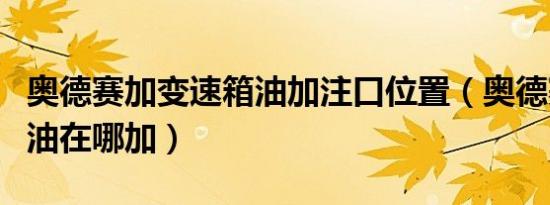 奥德赛加变速箱油加注口位置（奥德赛变速箱油在哪加）