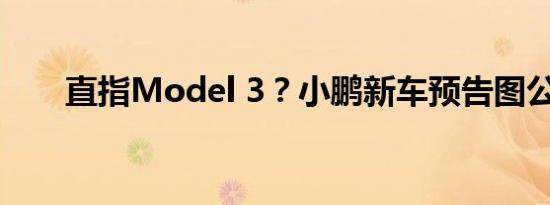 直指Model 3？小鹏新车预告图公布