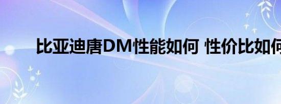 比亚迪唐DM性能如何 性价比如何？