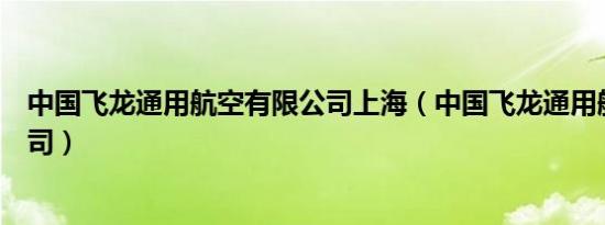 中国飞龙通用航空有限公司上海（中国飞龙通用航空有限公司）