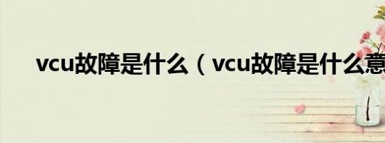 vcu故障是什么（vcu故障是什么意思）