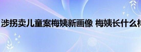 涉拐卖儿童案梅姨新画像 梅姨长什么样（图）