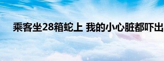 乘客坐28箱蛇上 我的小心脏都吓出来了