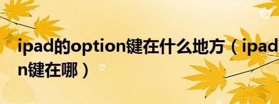 ipad的option键在什么地方（ipad的option键在哪）