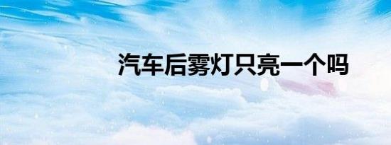 汽车后雾灯只亮一个吗