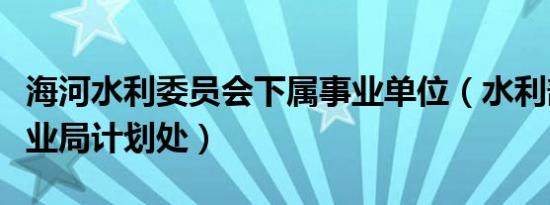 海河水利委员会下属事业单位（水利部综合事业局计划处）