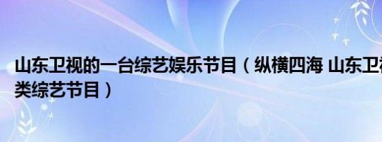 山东卫视的一台综艺娱乐节目（纵横四海 山东卫视公益挑战类综艺节目）