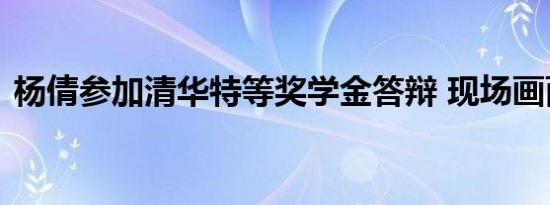 杨倩参加清华特等奖学金答辩 现场画面公开