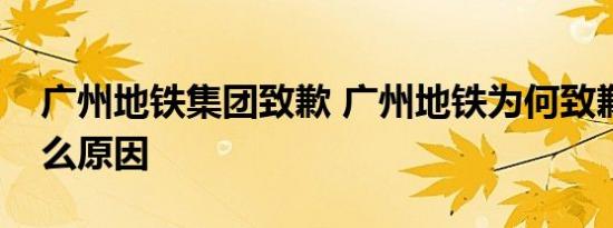 广州地铁集团致歉 广州地铁为何致歉地陷什么原因