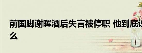 前国脚谢晖酒后失言被停职 他到底说了些什么