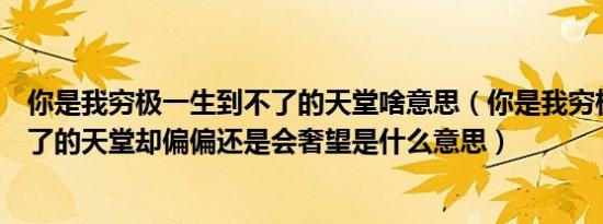 你是我穷极一生到不了的天堂啥意思（你是我穷极一生到不了的天堂却偏偏还是会奢望是什么意思）