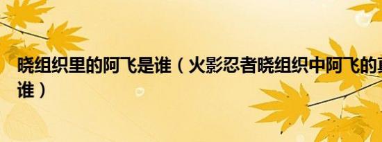 晓组织里的阿飞是谁（火影忍者晓组织中阿飞的真正身份是谁）