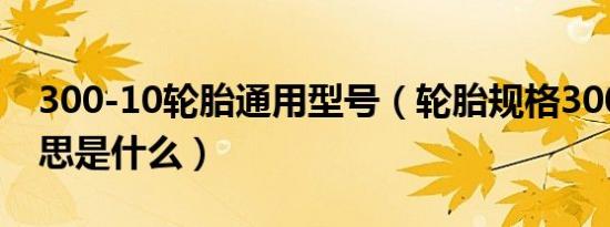 300-10轮胎通用型号（轮胎规格300、10意思是什么）