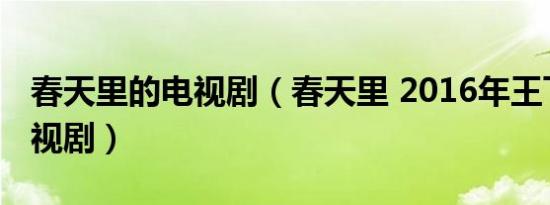 春天里的电视剧（春天里 2016年王飞执导电视剧）