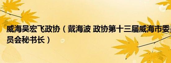 威海吴宏飞政协（戴海波 政协第十三届威海市委员会常务委员会秘书长）