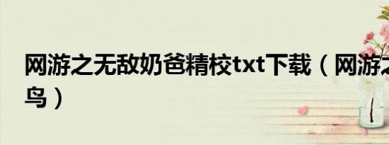 网游之无敌奶爸精校txt下载（网游之无敌菜鸟）