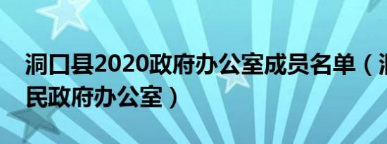 洞口县2020政府办公室成员名单（洞口县人民政府办公室）