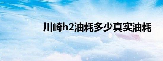 川崎h2油耗多少真实油耗