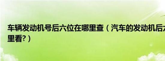 车辆发动机号后六位在哪里查（汽车的发动机后六位号在哪里看?）