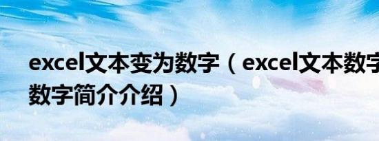 excel文本变为数字（excel文本数字变成纯数字简介介绍）