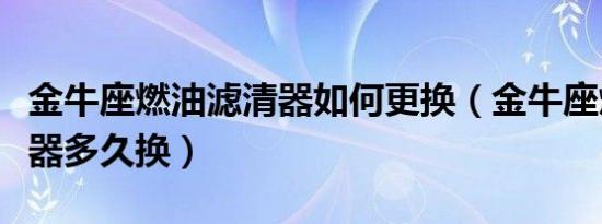 金牛座燃油滤清器如何更换（金牛座燃油滤清器多久换）