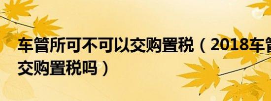 车管所可不可以交购置税（2018车管所可以交购置税吗）