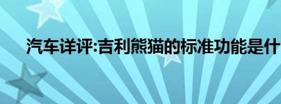 汽车详评:吉利熊猫的标准功能是什么？