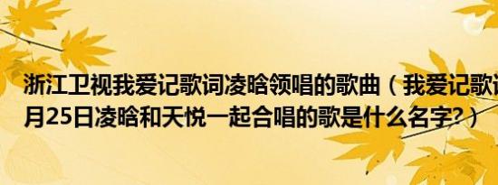 浙江卫视我爱记歌词凌晗领唱的歌曲（我爱记歌词2009年9月25日凌晗和天悦一起合唱的歌是什么名字?）