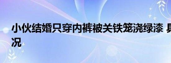 小伙结婚只穿内裤被关铁笼浇绿漆 具体啥情况