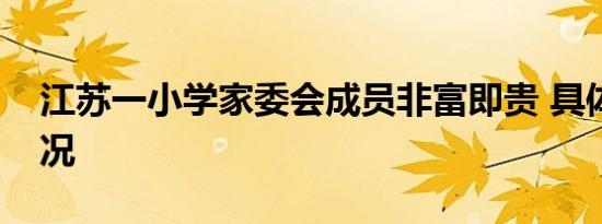 江苏一小学家委会成员非富即贵 具体是啥情况